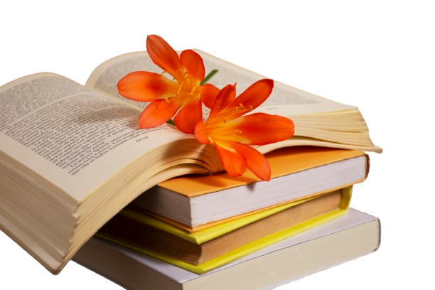 Bestseller Book Bundle